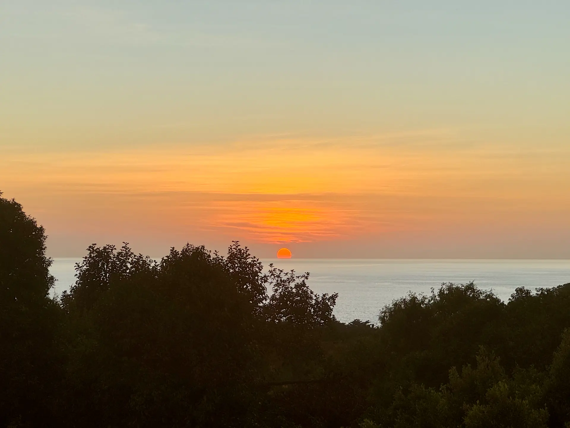 Sunset View